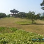[경기 일산] 호수공원 나들이, 장미 축제