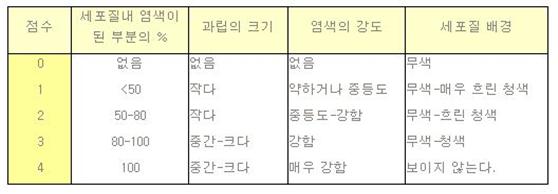 LAP score : 네이버 블로그
