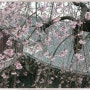 고궁의 봄 Ⅰ- 경운루(慶雲樓)