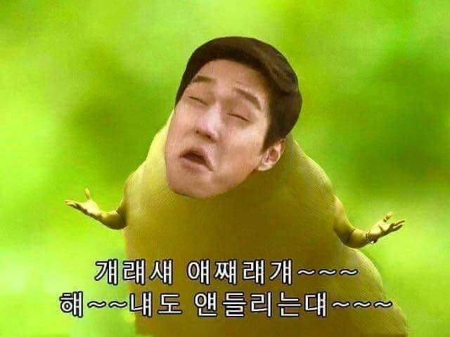 짤모음/웃긴짤/짤대방출/핵잼(1) : 네이버 블로그