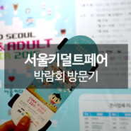 2015 서울 키덜트 페어 방문기.