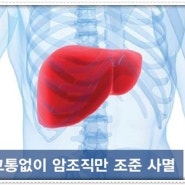 현존최고의 간암 치료법 중입자치료~