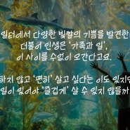 좋은생각 2015.9월호 '오키나와 츄라우미 수족관'의 한국 아쿠아리스트