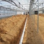 오이재배-탄소발열망으로 지중난방(안성 오이 농장)설치 및 성장과정
