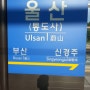 [내일로 1일차_강릉] 만 28세까지 내일로 가능! 나도 간다 내일로. 내일로 7일권 - 1일차 강릉