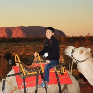 Australia NT - #2 Uluru (Ayers Rock) Camel Tour