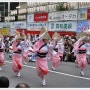 일본의 축제 아와오도리