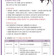 서울대공원 여름방학 체험교실-곤충박사되어보기(2015.08.11.)