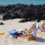 [실바니안] 아빠와 함께한 여름 바닷가(해변피크닉세트)