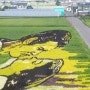 거대한 논 위에 그린 그림 이나카다테무라 논아트 (일본 아오모리 여행)