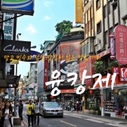 [대만여행 3일차] 망고 빙수와 샤오룽바오 맛집이 있는 맛집 거리, 융캉제(永康街) - 까오지 & 킹망고 & 선메리 펑리수