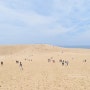 일본 돗토리- 일본 최대 모래 언덕 돗토리 사구