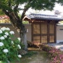 일본 세계여행 나가사끼 일본의풍경사진입니다