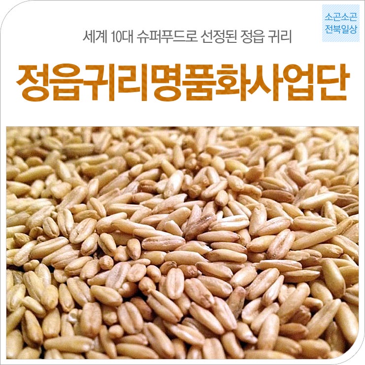 전북일상-정읍귀리명품화사업단|세계 10대 슈퍼푸드로 선정된 귀리 ~정읍귀리명품화사업단에서 만나요~ : 네이버 블로그