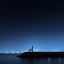 제주도 이호테우해변 의 푸른 야경