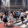 [일본/도쿄] 시부야 Shibuya 스크램블, 히카리에 백화점 하브스 Harbs