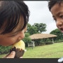 [제주한달살이 다섯째날] 제주아쿠아플라넷 그리고 제주돌문화공원에서 감자캐기 체험^^