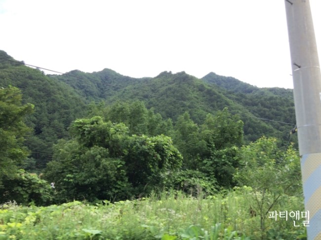 양양 솔바람펜션, 여름 휴양지 추천, 가족펜션으로 최고!