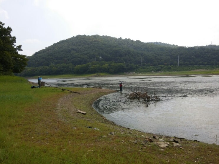 서산 해미 산수저수지 낚시 : 네이버 블로그