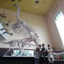 해남 공룡박물관, 목포에서 가볼만한곳 추천해요