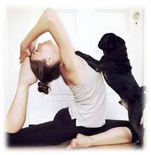Dog yoga craze 'Doga' is not quite as barking mad as it sounds