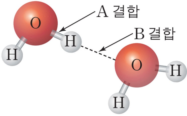 물의 특징 / 물분자의 수소결합 : 네이버 블로그
