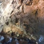 [시드니 일일관광] 블루마운틴 관광과 제놀란동굴을 동시에! Jenolan Cave Tour
