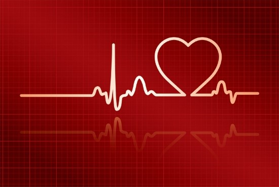 3.심장의 자극 전도계 : 네이버 블로그