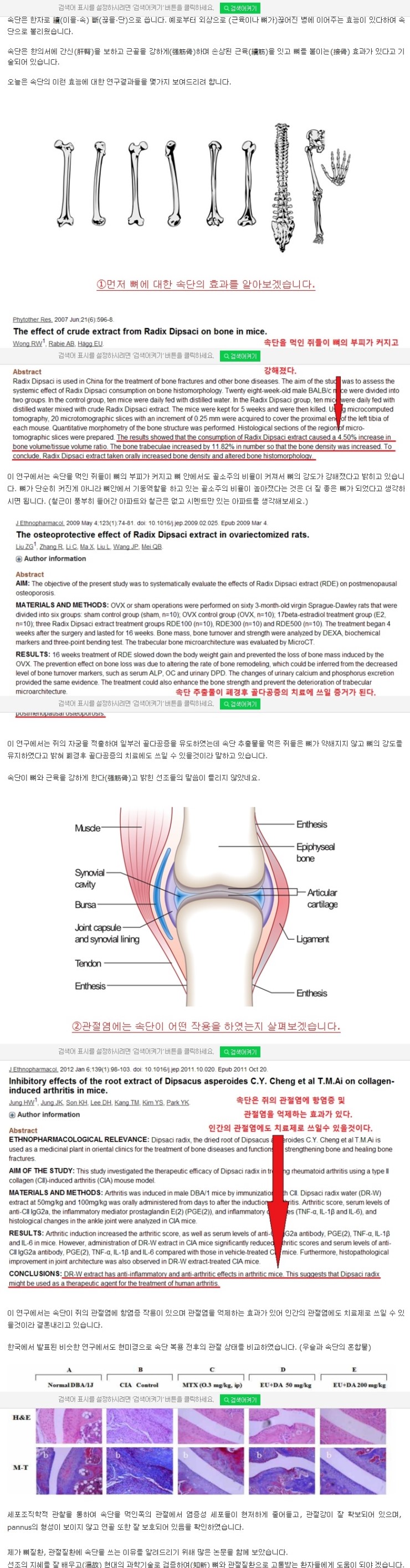 속단(천속단)의 효능을 연구한 결과/국내산 천속단재배 : 네이버 블로그