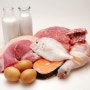 단백질 섭취 가이드, 단백질은 어떻게 섭취해야 할까요?