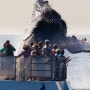 하와이 마우이 혹등고래 트릴로지 고래관광
