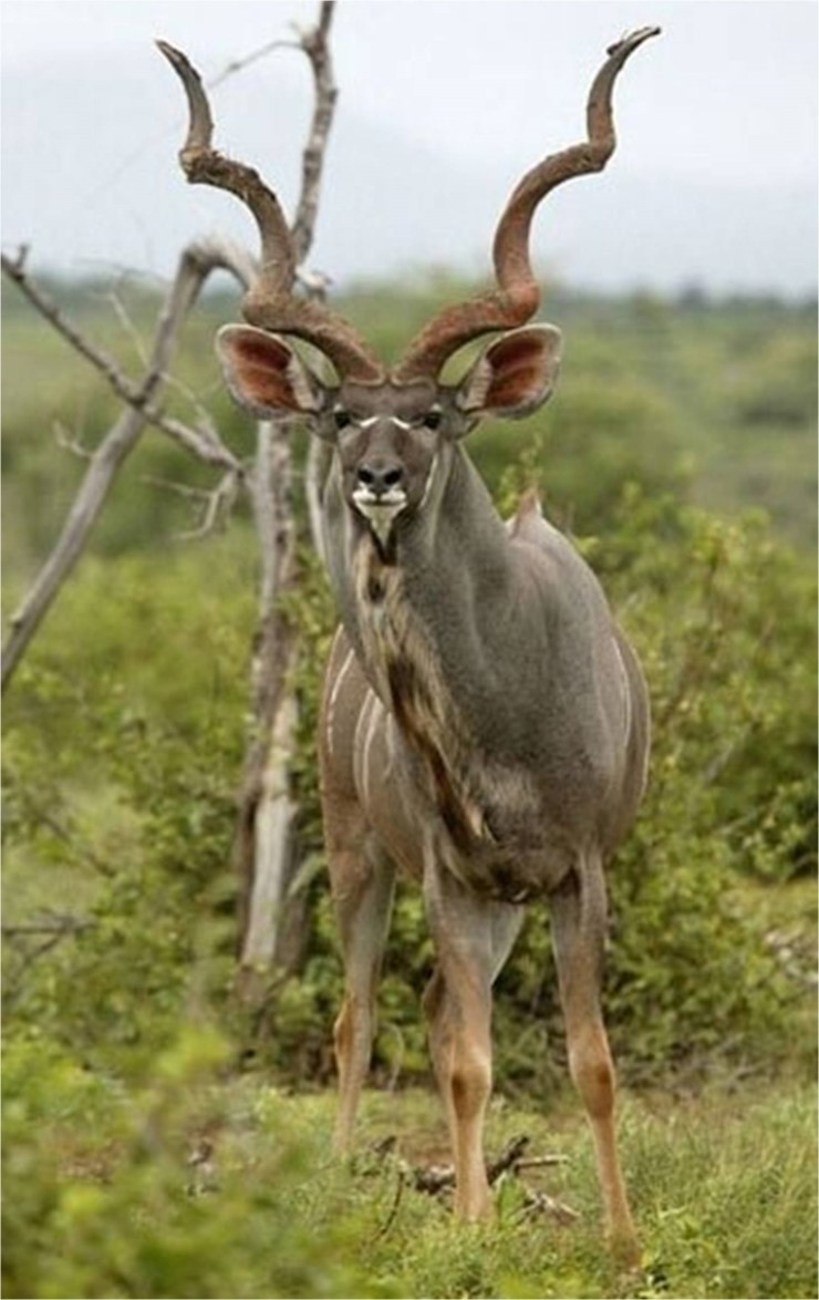 2014가을소식지 | PPTX, image size:740x1174