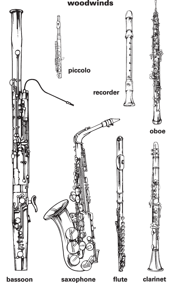 Quarterhouse Woodwind Instrument Family Poster, Music Classroom Materials  For Teachers, Saxophone Instrument Family