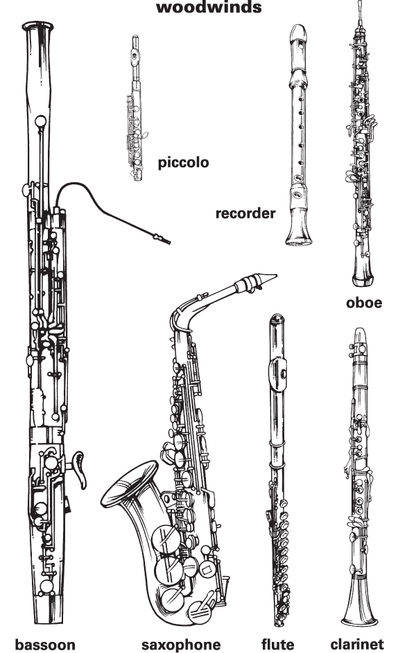 Quarterhouse Woodwind Instrument Family Poster, Music Classroom