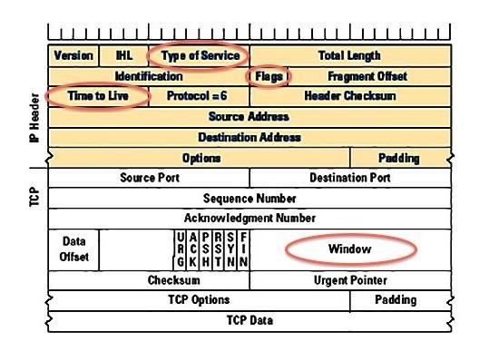 IP/TCP Structure : 네이버 블로그