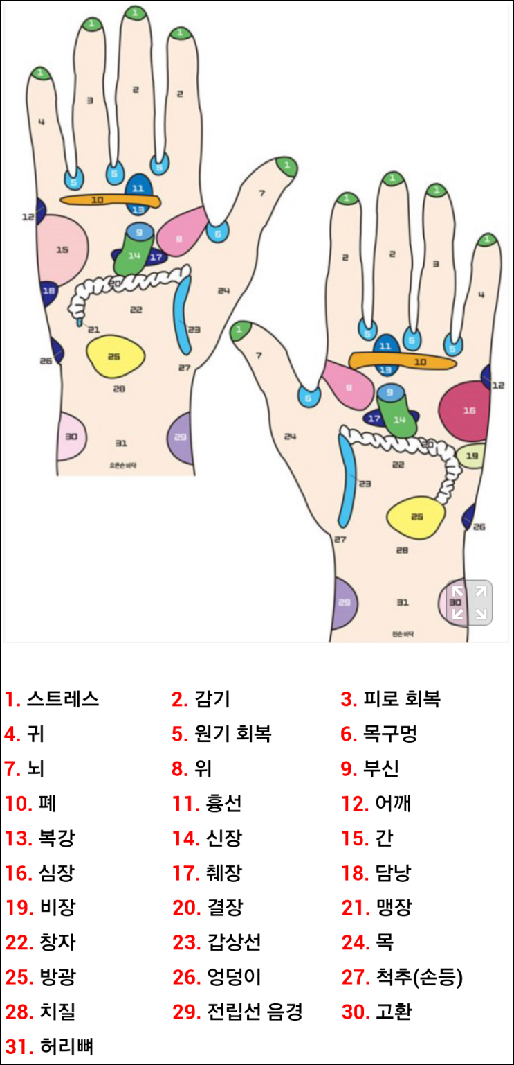 학습13 : 소화 잘 되는 손바닥 지압 부위. 발바닥 지압 부위 : 네이버 블로그