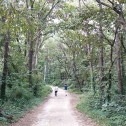 고인돌 산림공원 [파주 근처 가볼만한 곳]