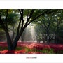[전남 영광] 불갑사 꽃무릇 축제 / 함양 상림숲, 선운사 꽃무릇 축제
