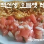집밥 백선생 토마토살사소스 오믈렛 레시피