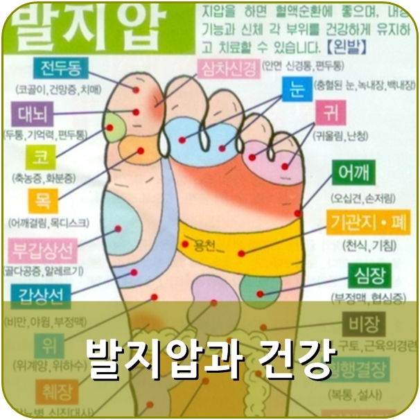 아침에 발지압 하면 건강에도 도움되겠죠? : 네이버 블로그