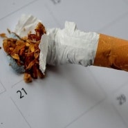 담배 끊는 것이 의지만으로 힘들다면? 금연에 좋은 음식