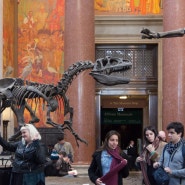 (미국/뉴욕) American Museum of Natural History & Shake Shack