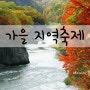 10월 축제 일정 / 가을 지역축제