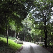 [전남] 나주 여행 불회사 :: 나주 가볼만한 곳 / 편백나무 숲이 멋진 산책하기 좋은 불회사 (전라남도/나주)