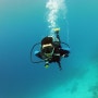 나홀로 다이빙 보홀다이빙 그 시작 #3 다이빙 로그북