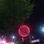 [주말포토뉴스] 한강 밤하늘을 수놓은 서울세계불꽃놀이축제