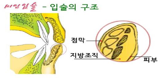 4-4 미인입 2탄! : 네이버 블로그