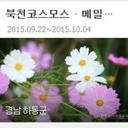 [ 면접자료 ] 한국 10월축제 _ 네이버 & 한국관광공사
