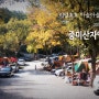 리얼캠핑24 - 10월에 입돌아갈 뻔... 중미산자연휴양림
