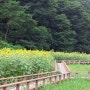 세계군인체육대회 개최도시 문경의 관광지 "문경새재 자연생태공원"